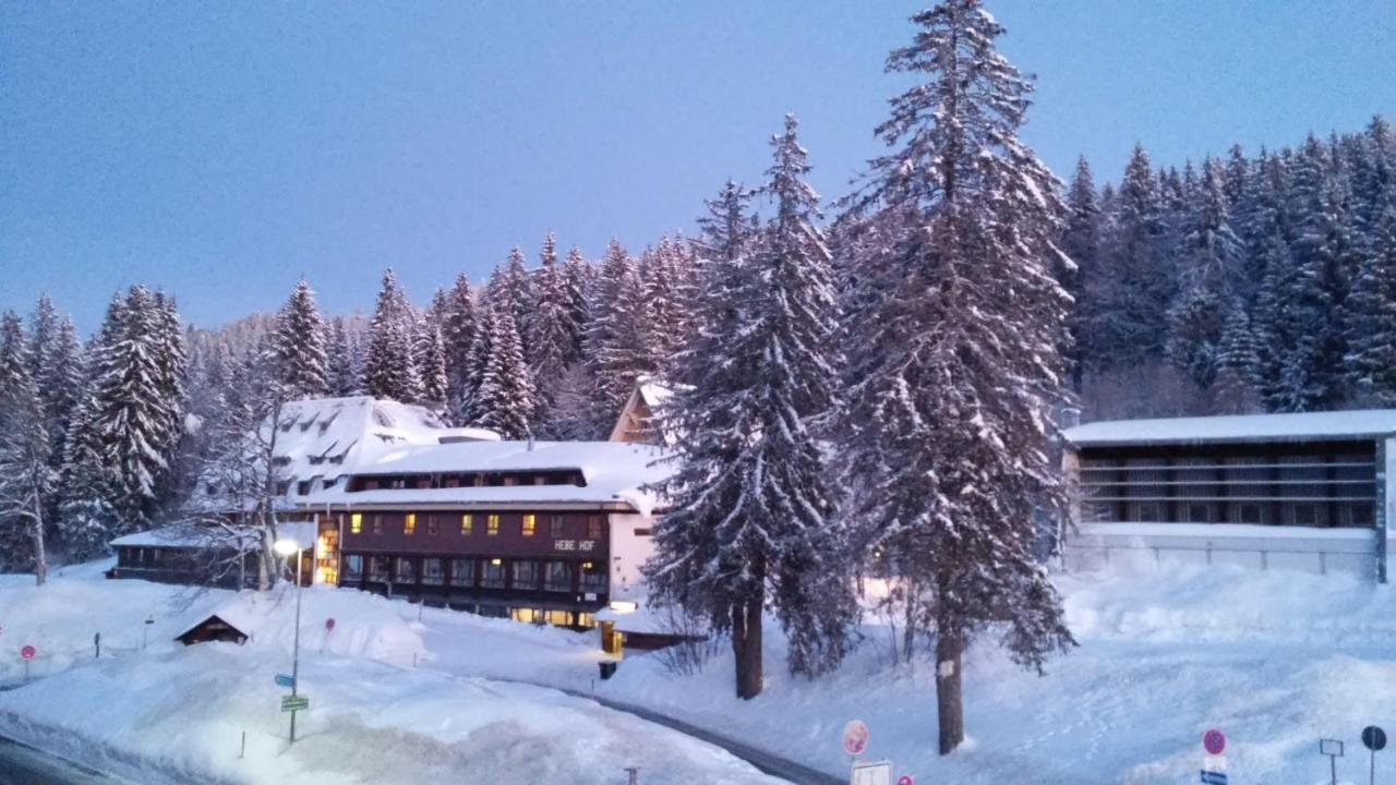 Residenz-Grafenmatt-Feldberg-Schwarzwald Daire Feldberg  Dış mekan fotoğraf