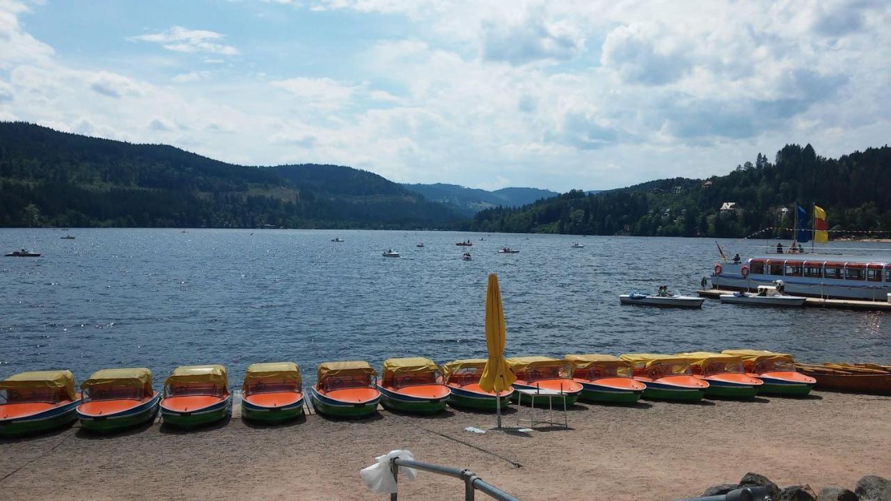 Residenz-Grafenmatt-Feldberg-Schwarzwald Daire Feldberg  Dış mekan fotoğraf